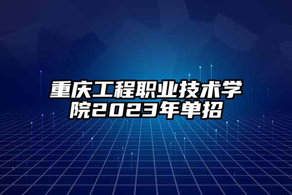 重庆工程职业技术学院2023年单招